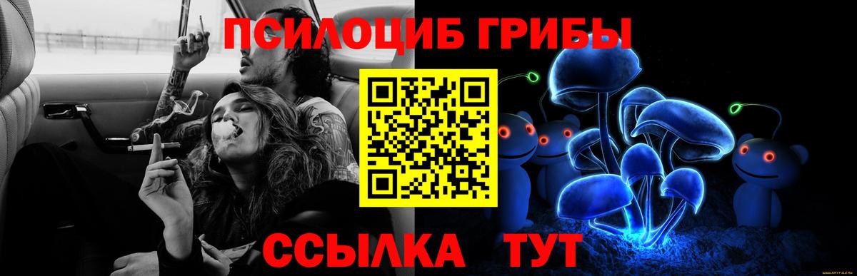 Псилоцибиновые грибы Magic Shrooms Каспийск